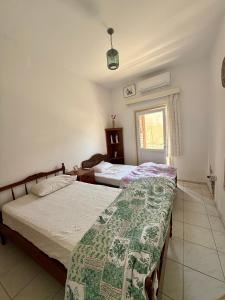 Katil atau katil-katil dalam bilik di Arsinoe Guest House