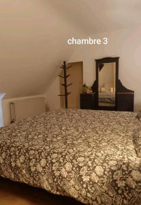 a bedroom with a bed and a large mirror at La randonnée in Beaumont