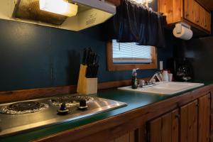Kuchyň nebo kuchyňský kout v ubytování Lakeview Cedar Cabin - Uncle Sams Cabin - 3 + 28 fotografií