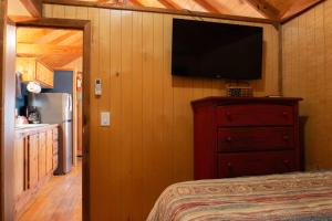 TV a/nebo společenská místnost v ubytování Lakeview Cedar Cabin - Uncle Sams Cabin - 3