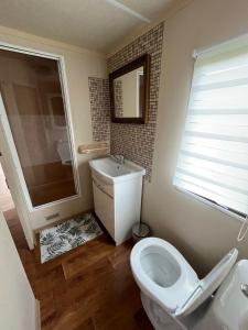 a bathroom with a toilet and a sink at Domek Czapla in Stare Sady +9 photos