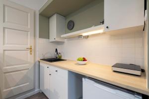 Køkken eller tekøkken på Buda Studio Apartments + 9 billeder