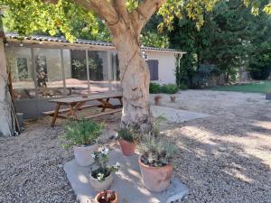 Κήπος έξω από το Le Mistralet - Grand Gîte +4 φωτογραφίες