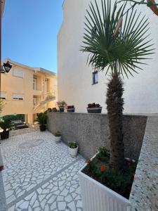 Fotografie z fotogalerie ubytování Apartments Onyx v destinaci Ulcinj