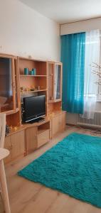 a living room with a television and a blue curtain at Arctic way in Sodankylä
