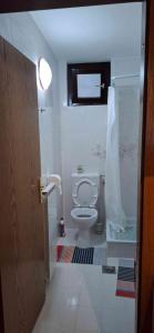 a bathroom with a toilet and a shower at Mike1890 in Portorož