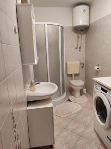 a bathroom with a sink and a washing machine at Apartment Eni in Matulji