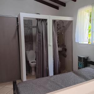 1 dormitorio con baño con aseo y ducha en Villa de la Marina avec vue sur la mer et la montagne, en Gourbeyre
