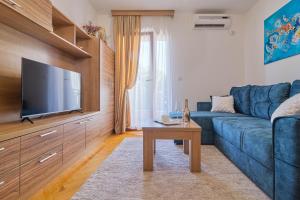 TV a/nebo společenská místnost v ubytování Duma Apartmani Vrnjačka Banja