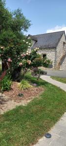 a house with a flowering tree and a sidewalk at Les Portes de l'Olivier in Grez-Neuville +3 photos