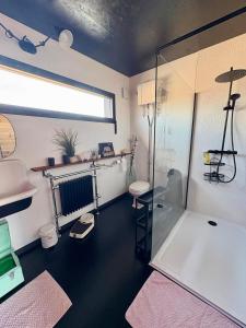 une salle de bain avec une douche en verre et un lavabo dans l'établissement Une adorable chambre SUR les toits, à La Celle-sous-Gouzon