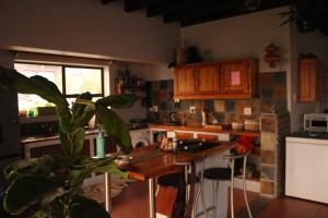 a kitchen with a table and a plant in it at Surf Stoke Cottage in Jeffreys Bay