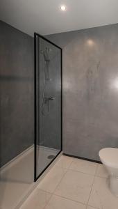a shower with a glass door in a bathroom at Mi Casa Es Su Casa Nº1 in Albufeira +2 photos
