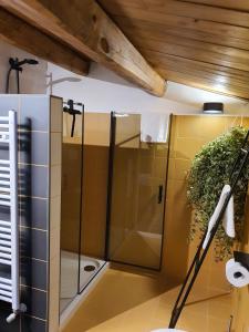a shower with a glass door in a bathroom at Qui e Lá - B&B in LʼAquila
