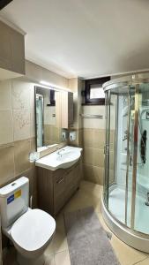 ein Badezimmer mit Dusche, Toilette und Waschbecken in der Unterkunft ARIA HOUSE Sinaia in Sinaia + 18 Fotos