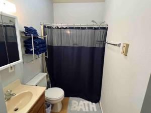 baño con cortina de ducha negra y aseo en Downtown 2BR Gem: Near Soaring Eagle & Downtown, en Mount Pleasant 12 fotos más