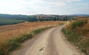 a dirt road in the middle of a field at Podere Cedrola in Asciano