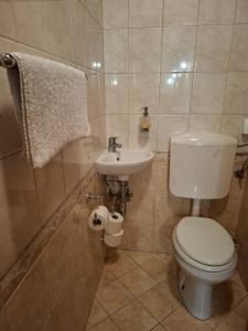 Ένα μπάνιο στο Apartment Luka