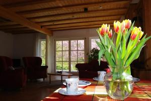 Fotografie z fotogalerie ubytování Appartement In Unzenberg Hunsrück v destinaci Göbenhausen + 8 fotografií