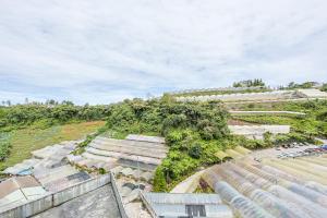 an overhead view of a garden with green plants at Perfect for Families & Friends, Retreat Clover Home 2-20 in Brinchang