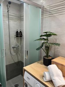 a bathroom with a shower with a plant on a counter at La casa in Chios +61 photos