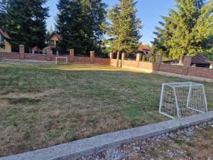 un cortile con un goal di calcio nell'erba di Vila Tri Srca a Beserovina