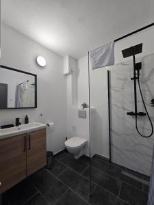 a bathroom with a shower and a toilet and a sink at Nort Inn - Luncile Prigoanei, Sureanu, Oasa, Transalpina in Tău Bistra +7 photos