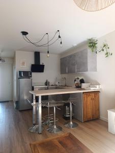 a kitchen with stainless steel appliances and a large island at Lisière Hébergements - Casa Mouette Mouette in La Tremblade +10 photos