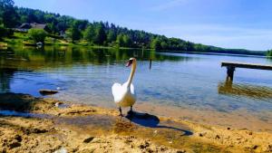 Příroda nedaleko prázdninového domu