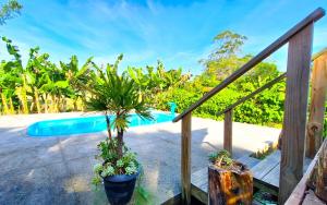 a swimming pool with two potted plants on a porch at Casa de Campo Deucher in Imaruí