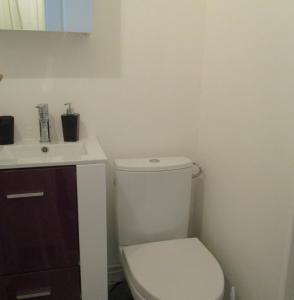 ein Badezimmer mit einem weißen WC und einem Waschbecken in der Unterkunft Studio Port Rhu Douarnenez in Douarnenez