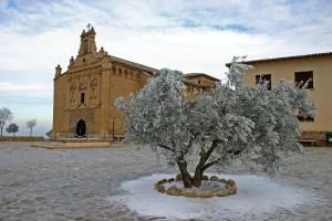 un árbol en la nieve frente a un edificio en Apartamento Turístico “El Yugo”, en Arguedas