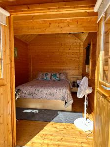 Afbeelding uit fotogalerij van Garden Bay Hideaway - Glamping & RV in Garden Bay +47 foto's