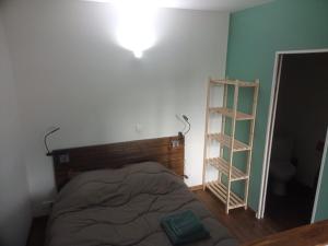 a bedroom with a bed and a book shelf at Studio thème Dublin à Valdivienne in Cubord