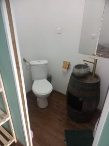 a small bathroom with a toilet and a barrel at Studio thème Dublin à Valdivienne in Cubord