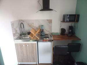 a small kitchen with a sink and a microwave at Studio thème Dublin à Valdivienne in Cubord +4 photos