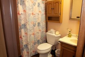 un bagno con un water, un lavandino e una tenda da doccia di Sunny Family Retreat HotTub, GameRoom, Backyard a Longmont Altre 18 foto