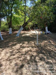 Κήπος έξω από το Acampamento NAISA Conceicao do Araguaia Pará