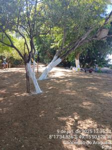 Κήπος έξω από το Acampamento NAISA Conceicao do Araguaia Pará