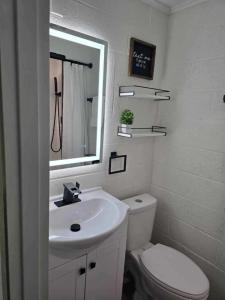 een badkamer met een wastafel, een toilet en een spiegel bij Cookson Resort - Tenkiller Cabin 2 in Cookson