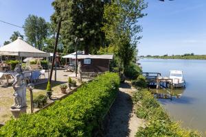 比萨Oasis on the River的相册照片