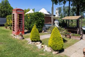 比萨Oasis on the River的相册照片 更多61张照片