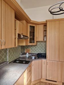 Η κουζίνα ή μικρή κουζίνα στο Apartman Sam