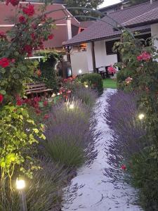 Vườn quanh CASA MARIA