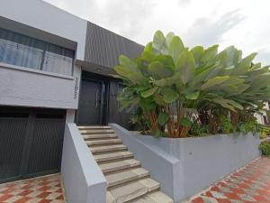 a building with stairs and plants in front of it at Bluelux Med - B&B in Medellín