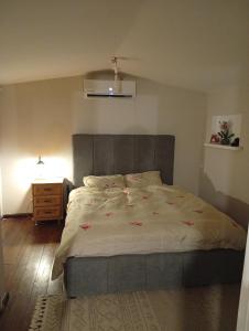 ein Schlafzimmer mit einem großen Bett mit roten Blumen darauf in der Unterkunft Alma & Noa in Or ‘Aqīvāh