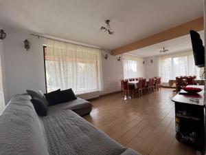 Gallery image of Camere de Inchiriat Alina in Vartop