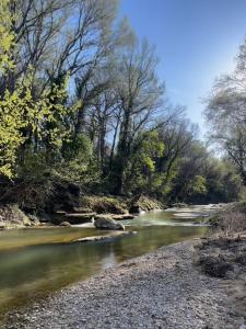 Robion en LuberonにあるTerres Élaïsの岩と木が横に流れる川