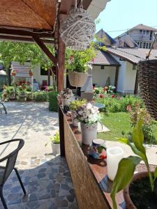 Vườn quanh CASA MARIA