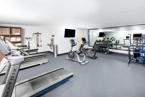 Fitness centrum a/nebo fitness zařízení v ubytování Holiday Inn Port Arthur - Park Central by IHG